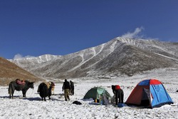 Zentralasien, Tadschikistan: Yaktrekking